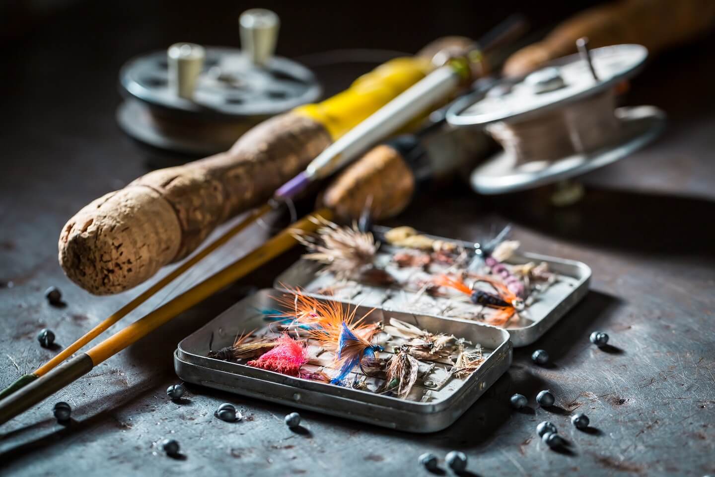 Essential Tips for Storing and Caring for Your Fishing Equipment