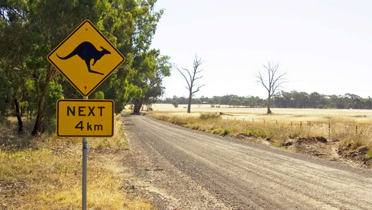 Caution Kangaroos Crossing