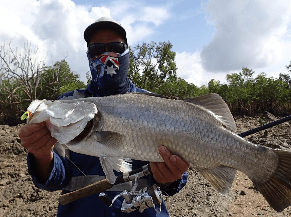 What Is The Best Lure For Catching Barramundi?