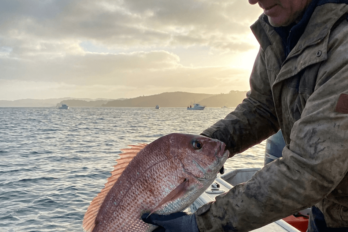 September 1: The Season Flips. Here's What Every Aussie Fisho Should Know Before Spring