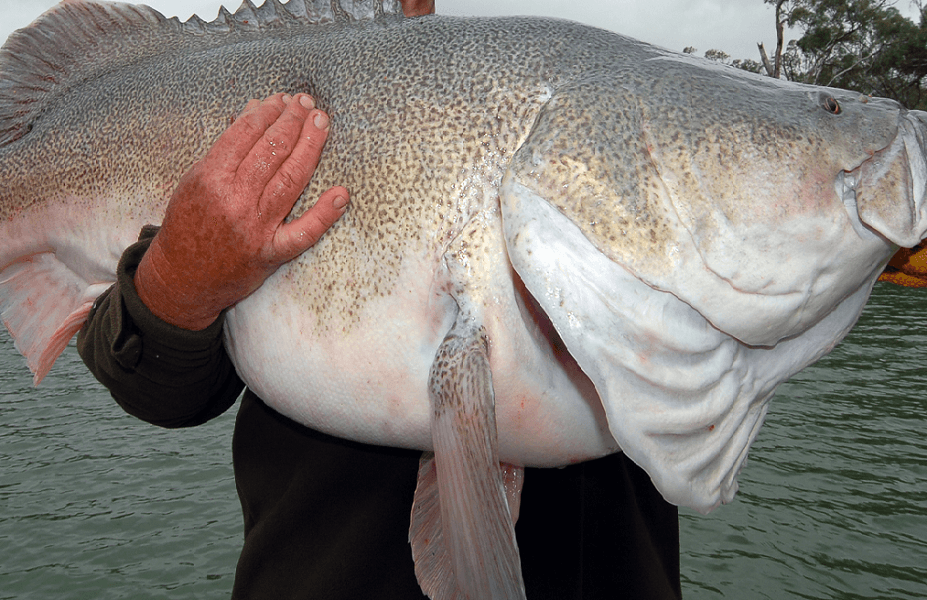 7 Reasons Your Not Catching Fish - Jack Norton Fishing