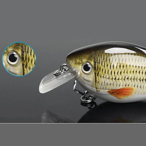 Crankbait Lure