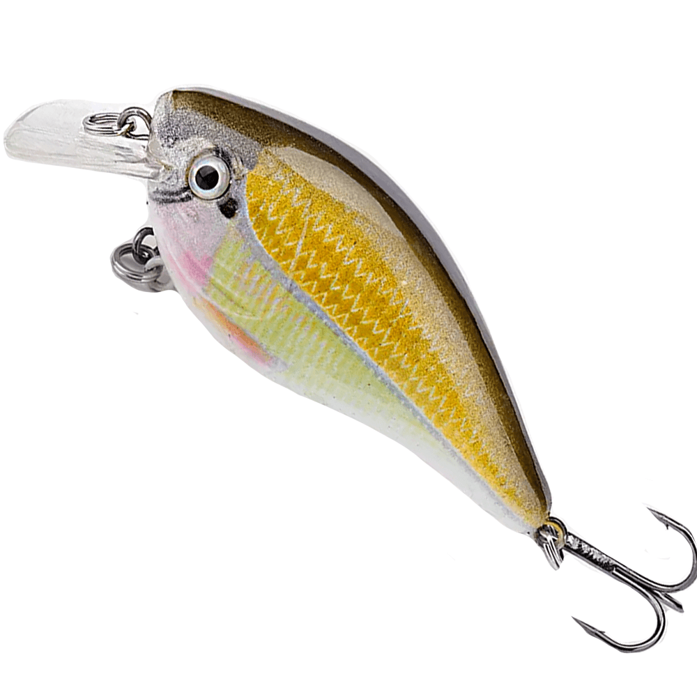 Crankbait Lure