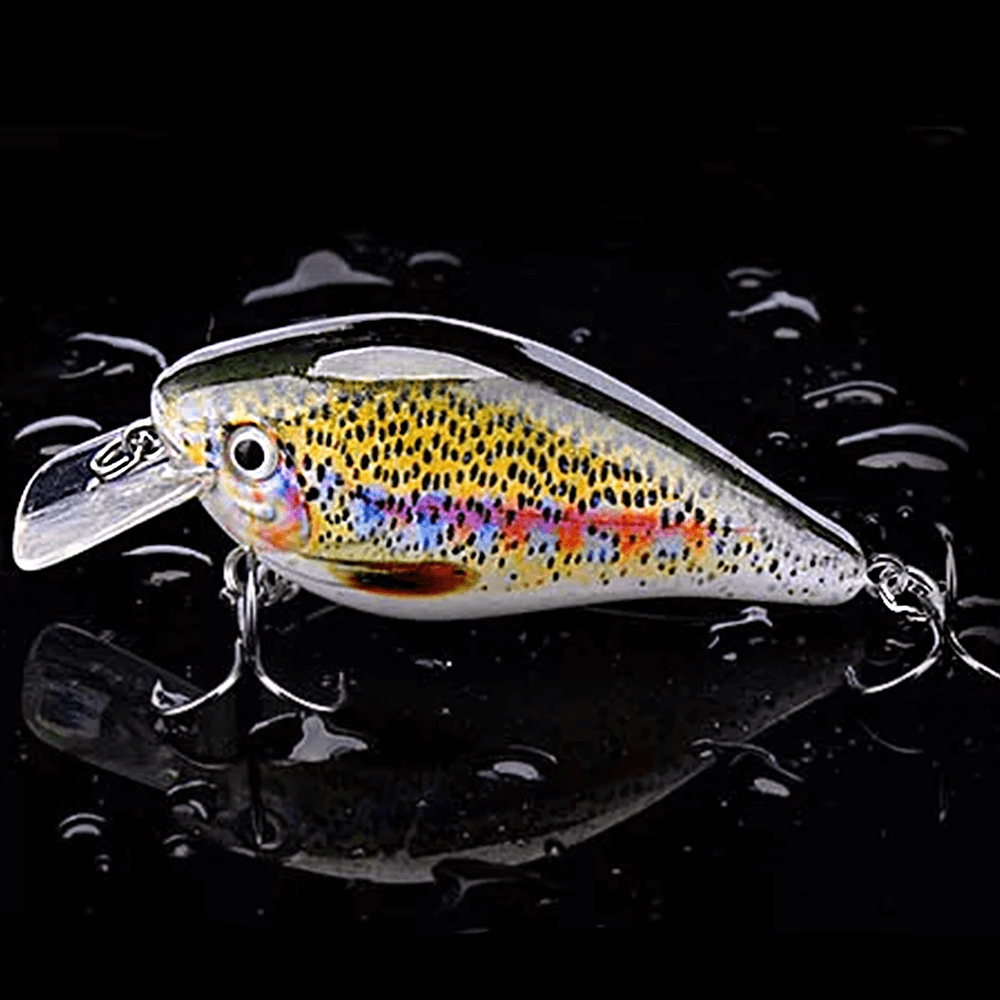 Crankbait Lure