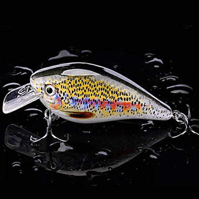 Crankbait Lure