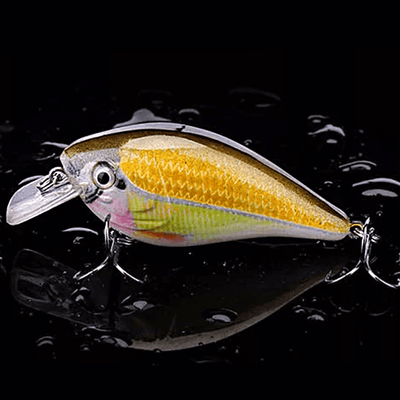 Crankbait Lure