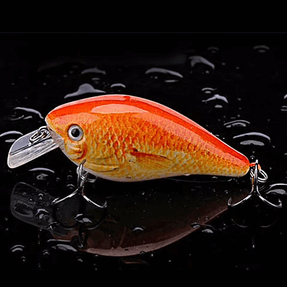 Crankbait Lure