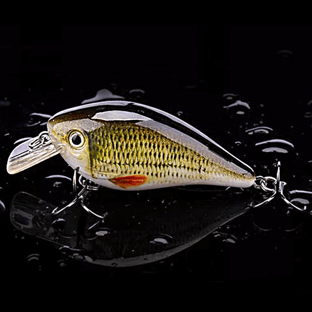 Crankbait Lure